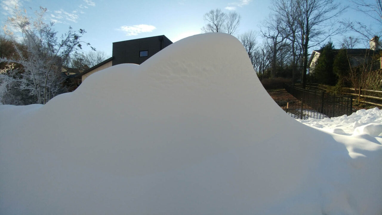 Large snow whale made with SG6