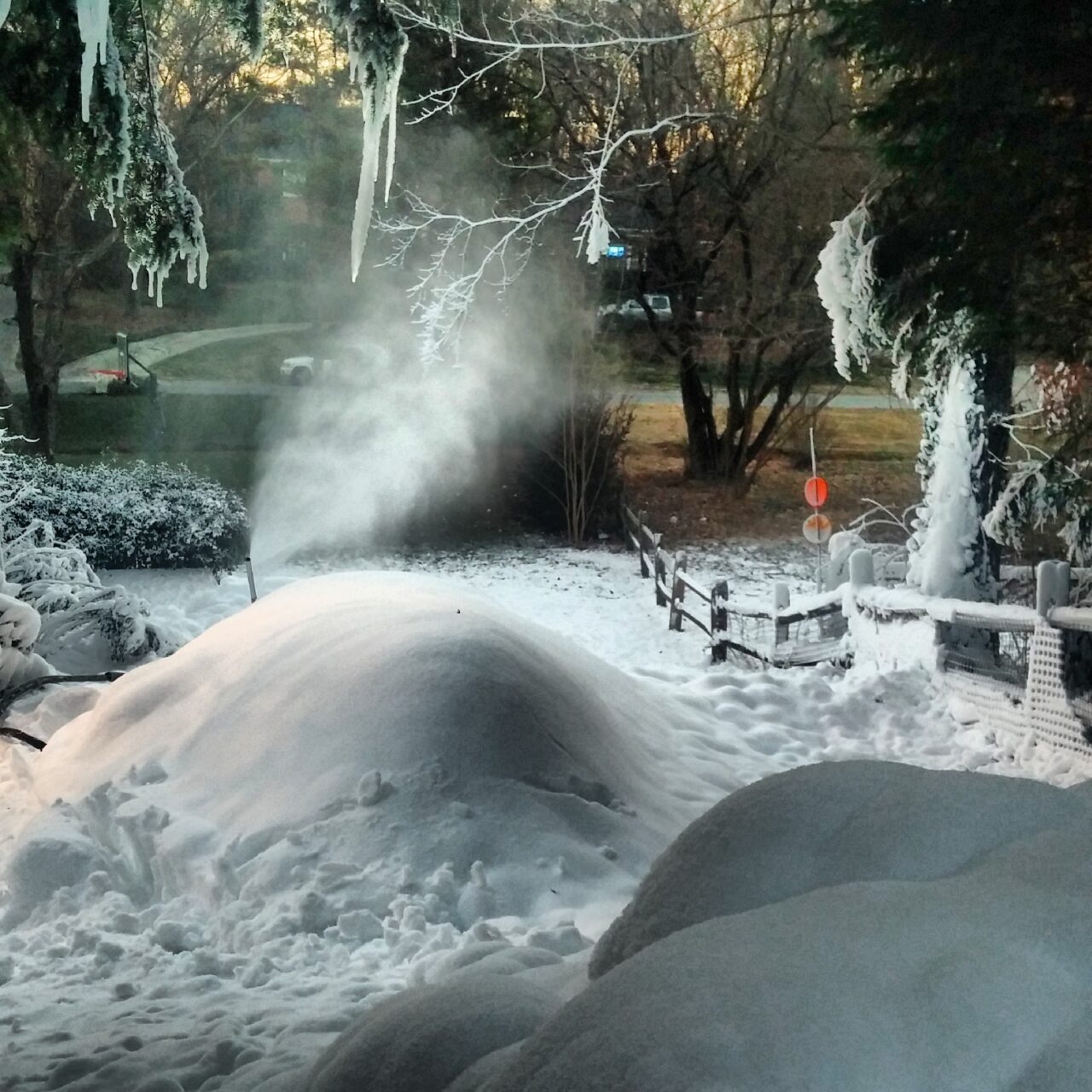 Making snow whales in South Carolina